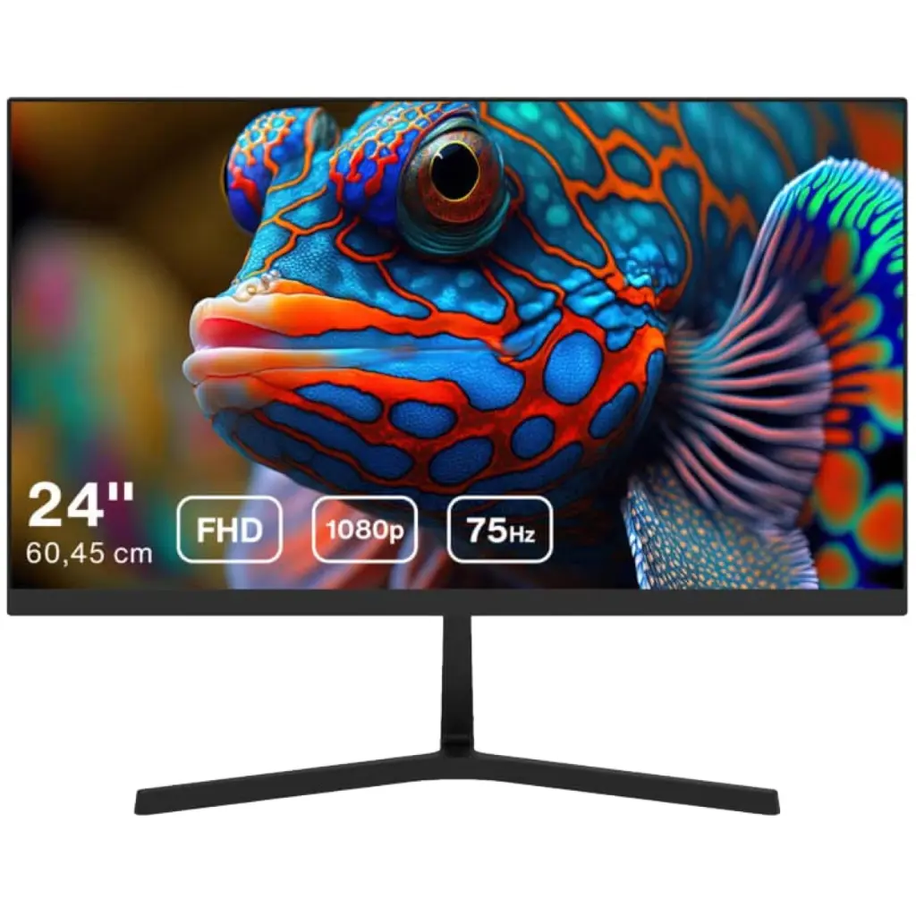 Dahua 24" LED Monitor